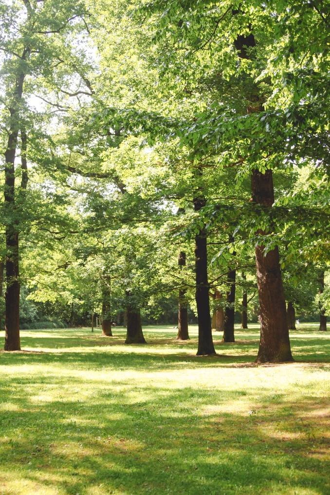 The Summit - Community Amenities