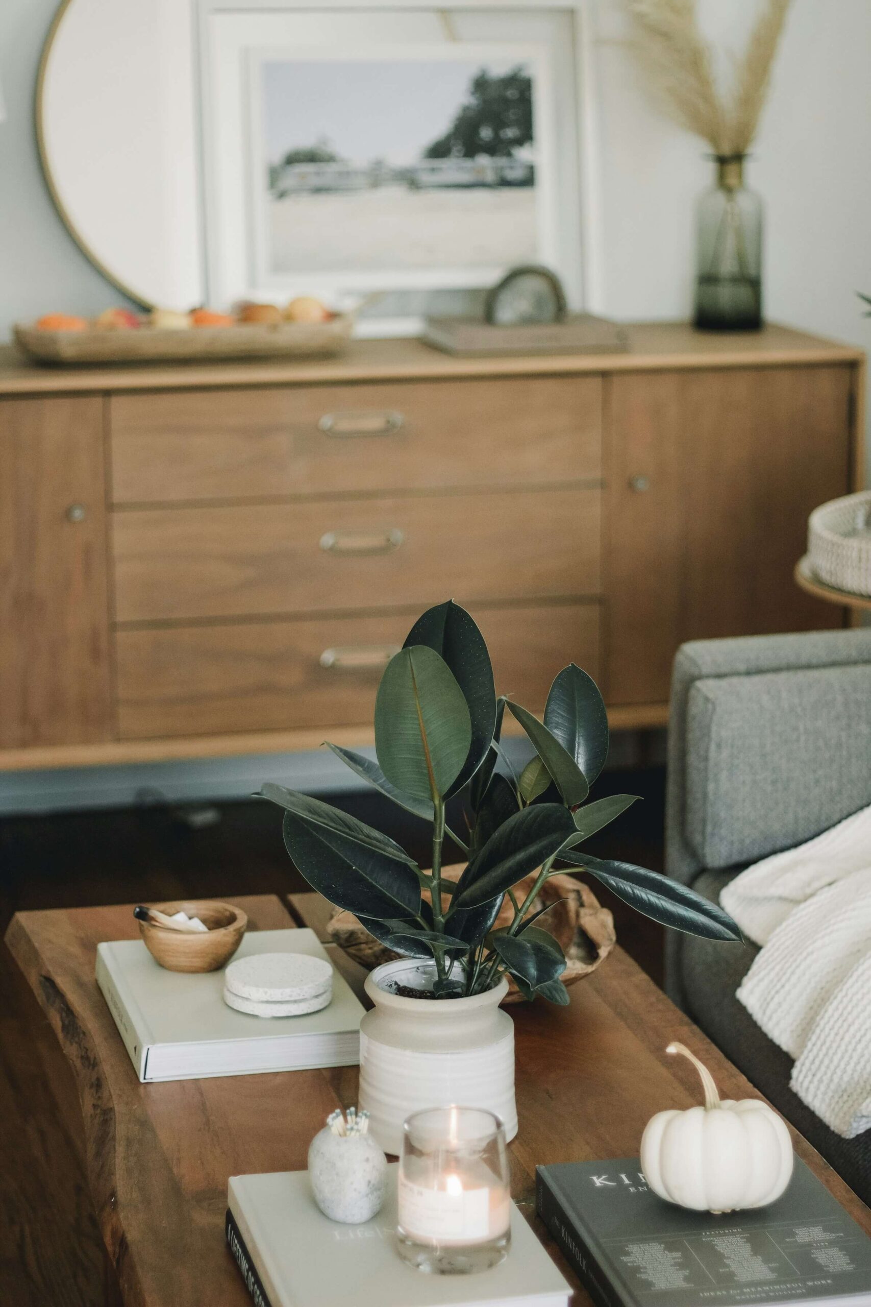 The Summit - Home Features